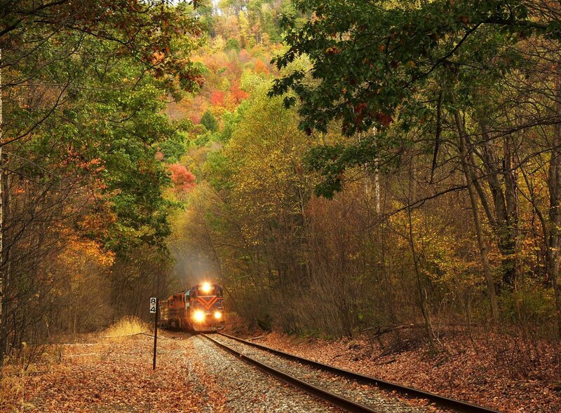 Train in Autumn Forest — Green, Serene, Photograph