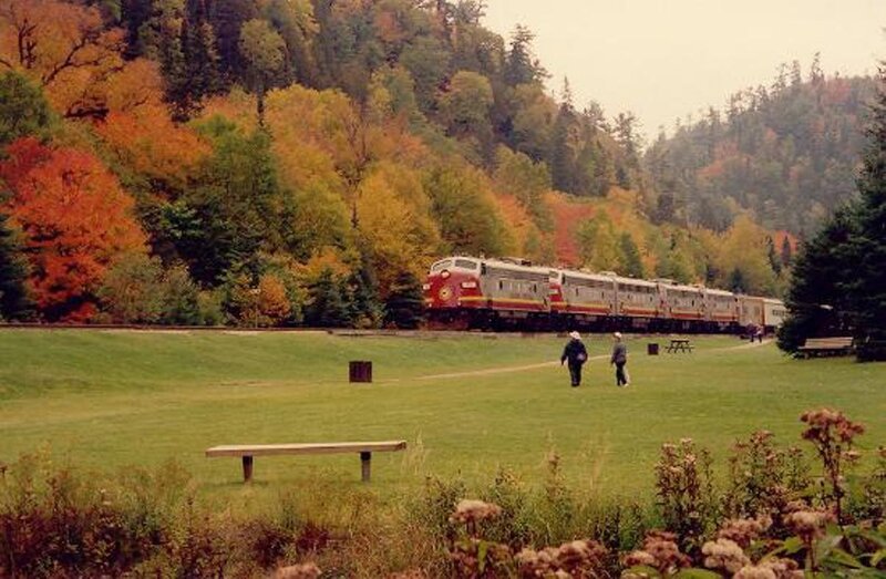 Train in Autumn Forest — Green, Serene