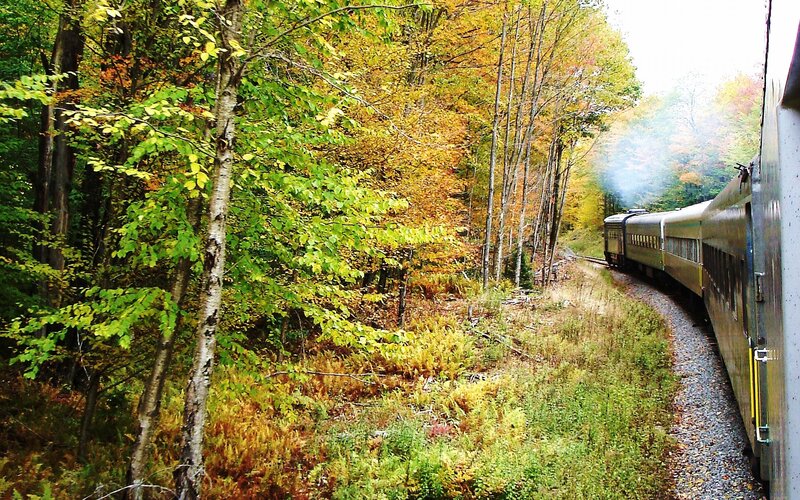 Train in Autumn Forest — Green