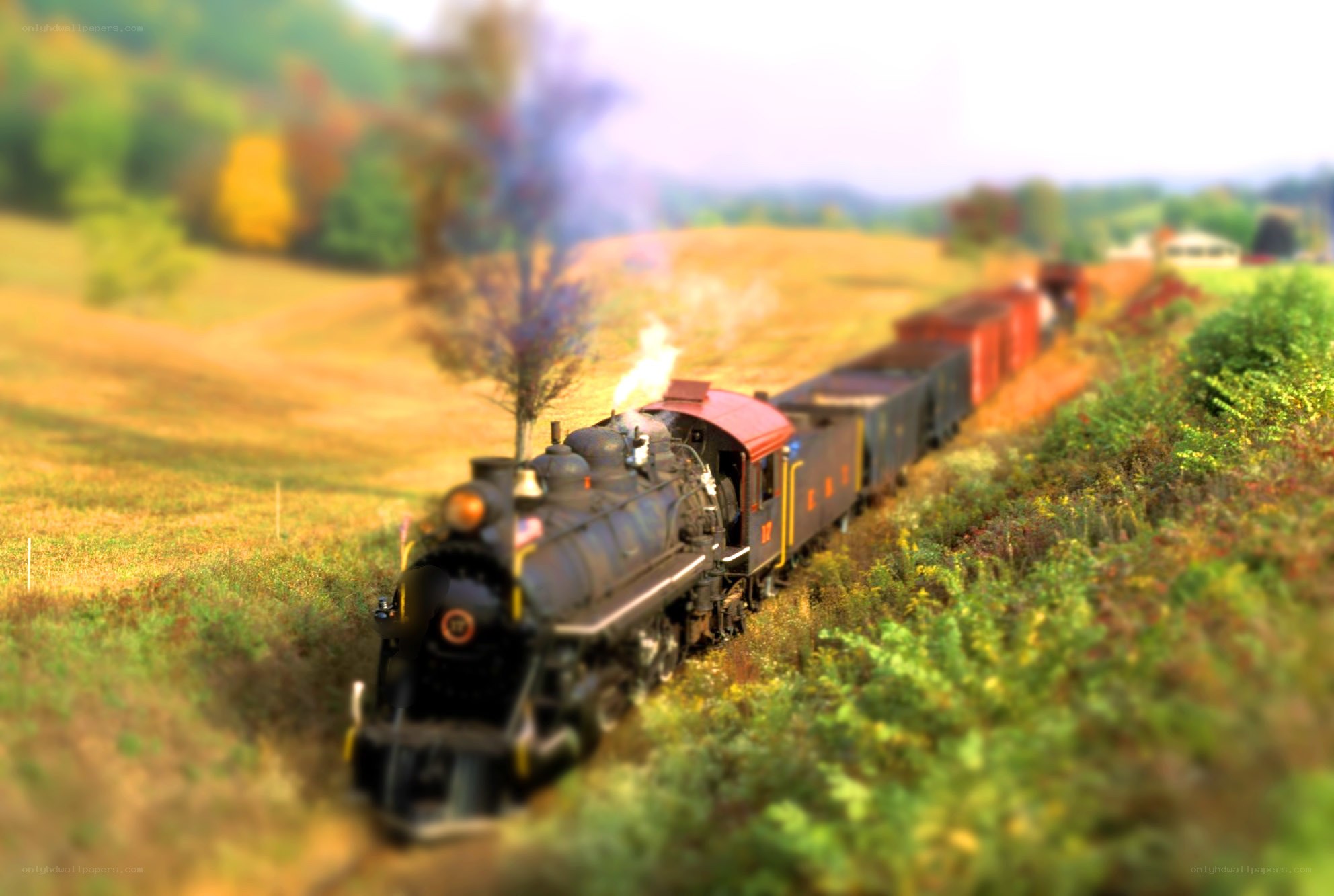 Train in autumn landscape
