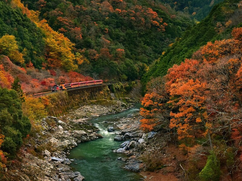 Train in Autumn Valley — Orange