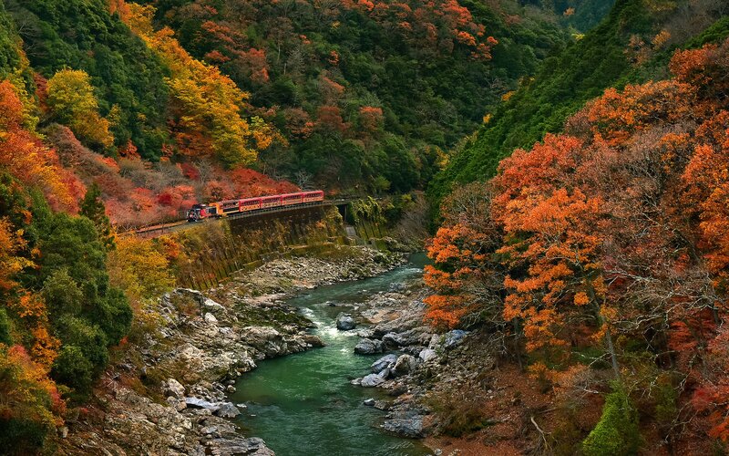 Train in Autumn Valley