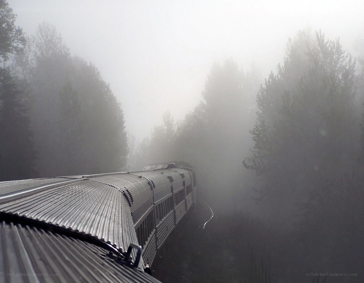 Train in dense fog