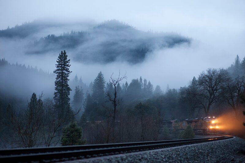 Train in Foggy Forest — Gray, Misty