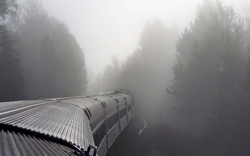 Train in Foggy Forest — Gray
