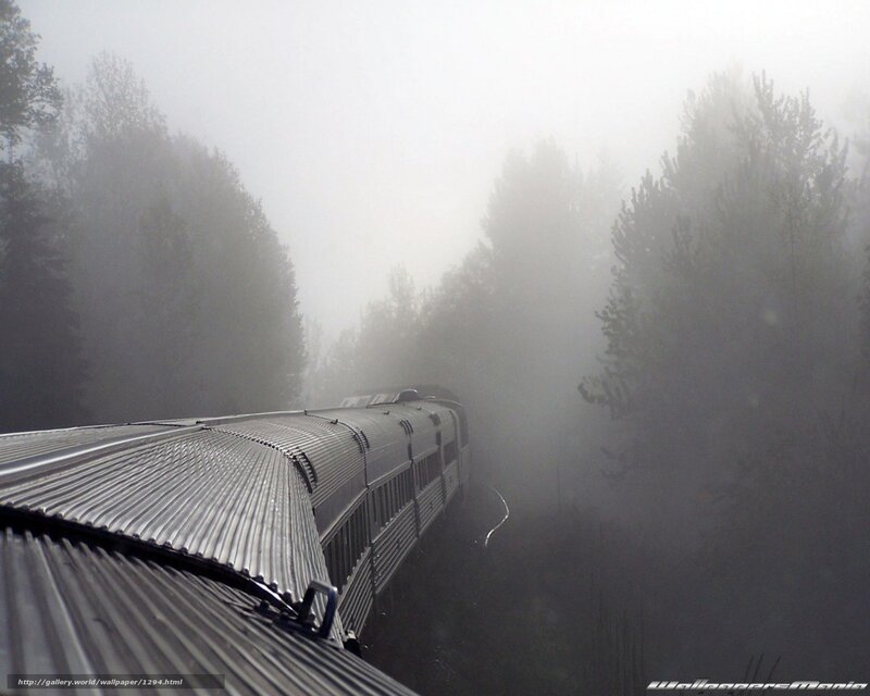 Train in foggy forest