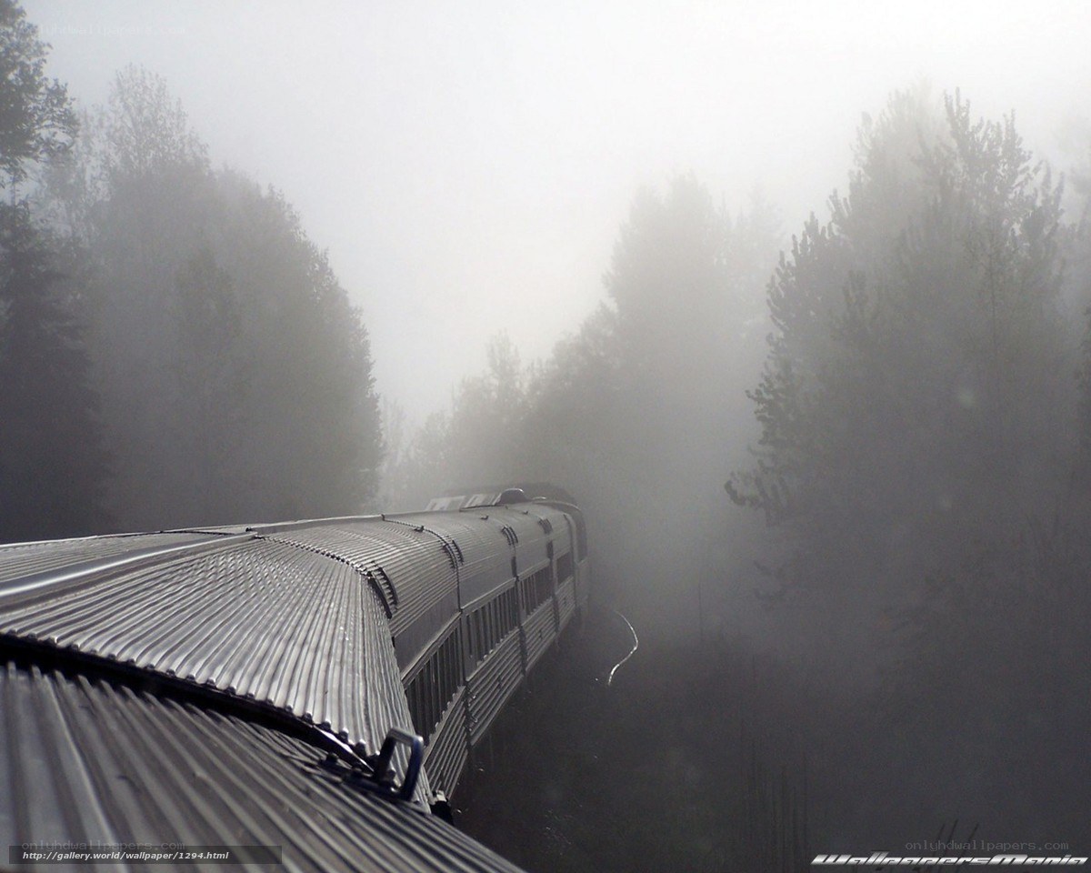 Train in foggy forest