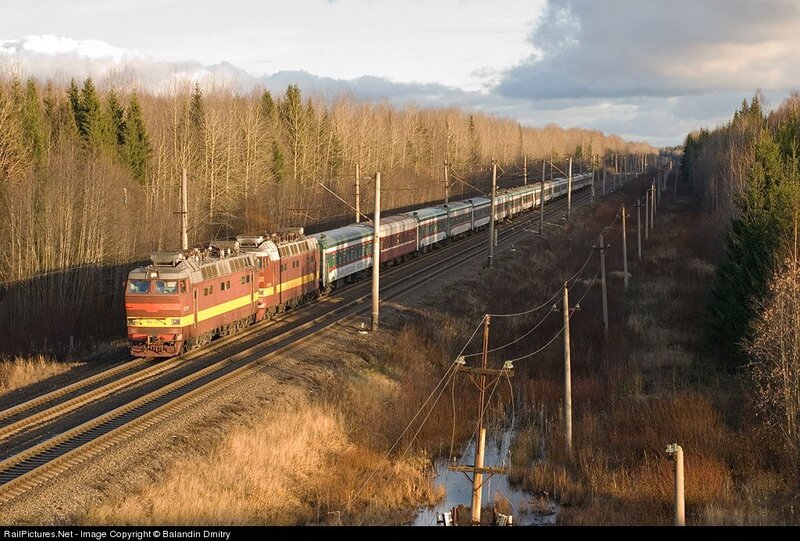 Train in forest landscape