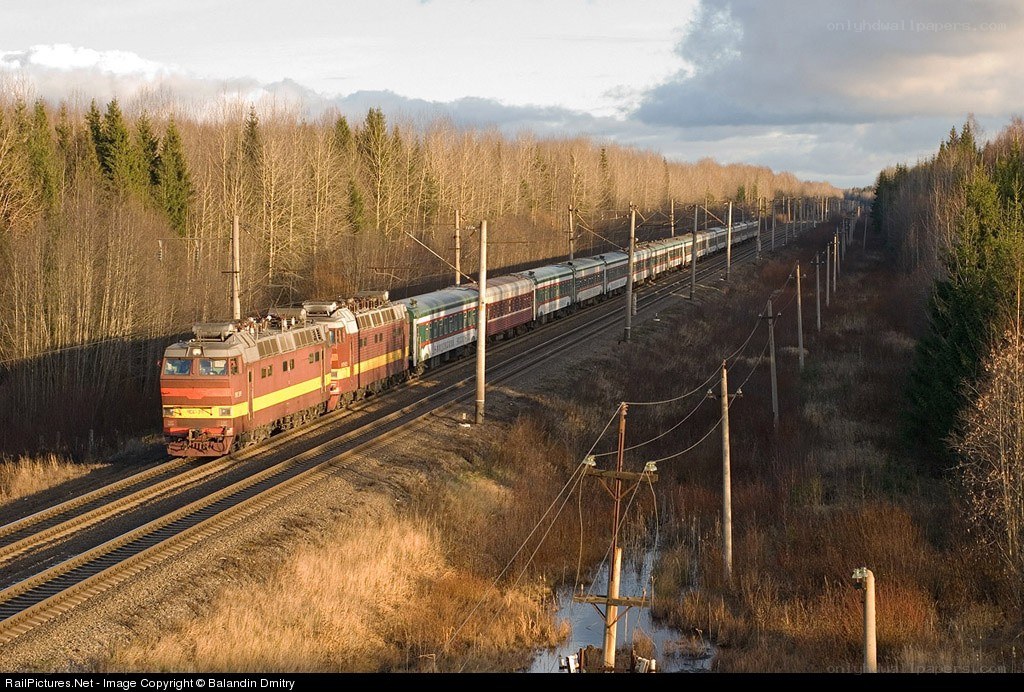 Train in forest landscape