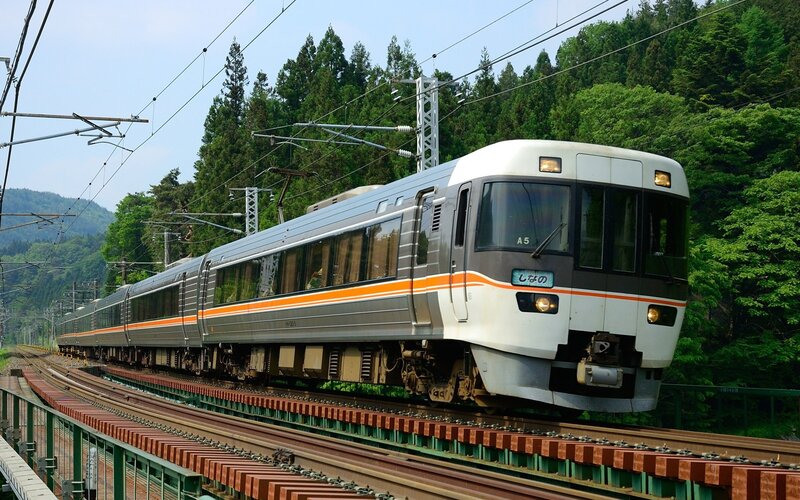 Train in forested area