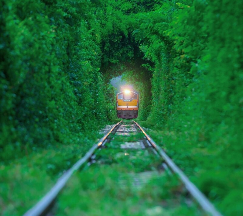 Train in Green Tunnel