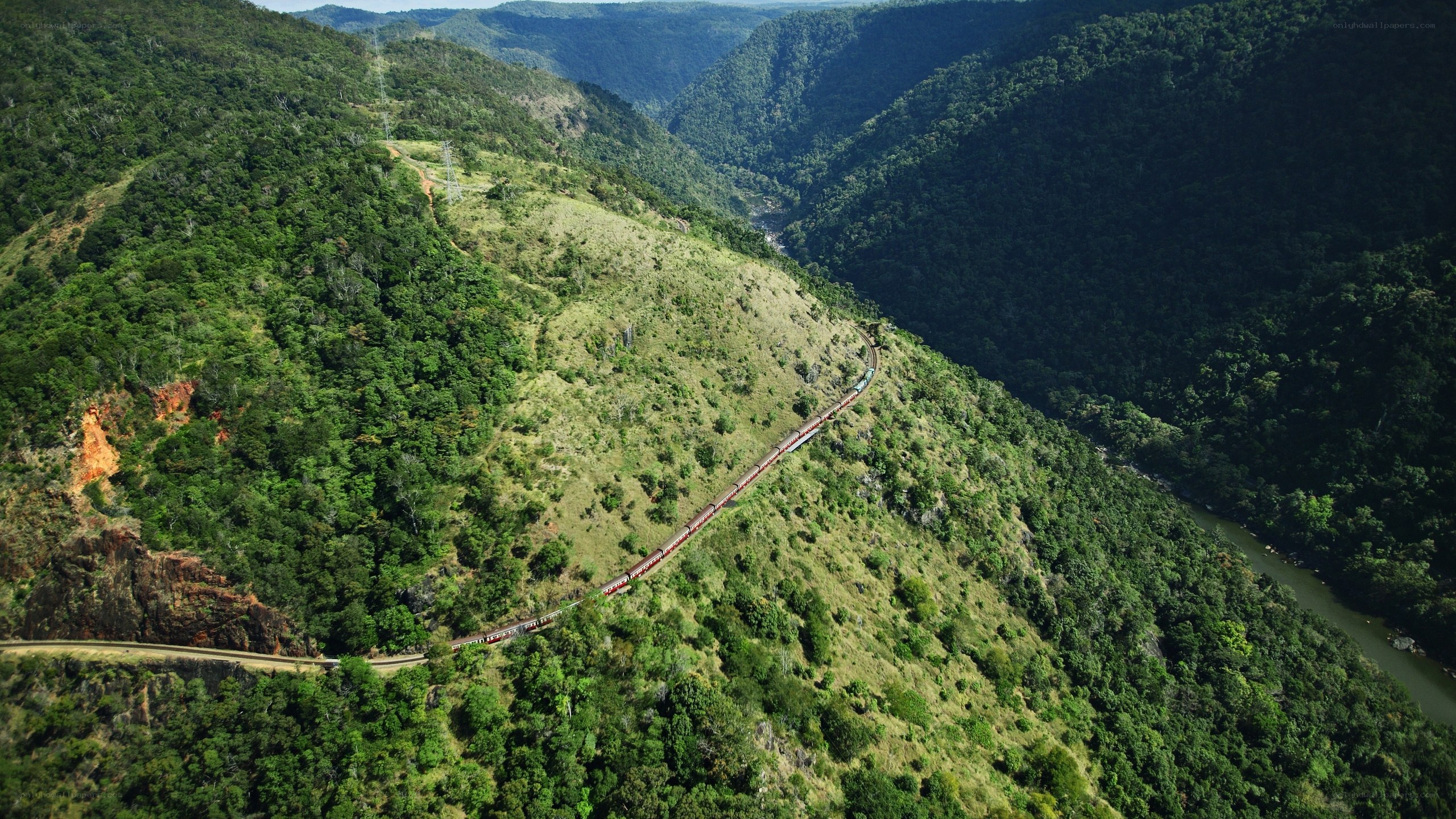Train in lush green valley