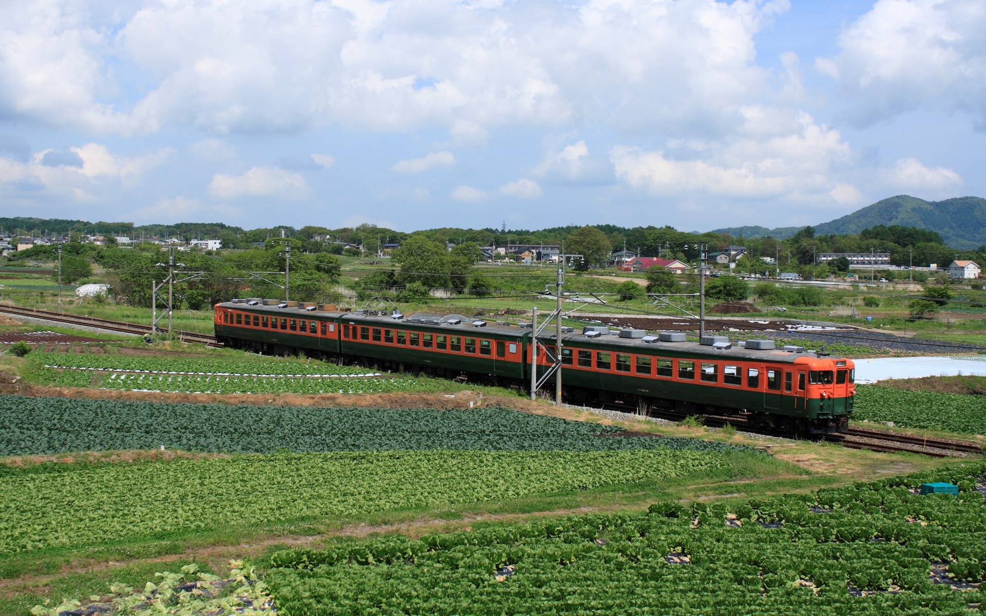 Train in rural landscape
