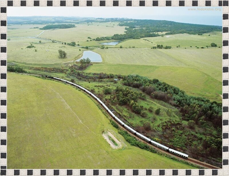 Train in rural landscape