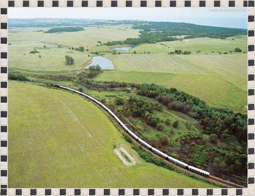 Train in rural landscape