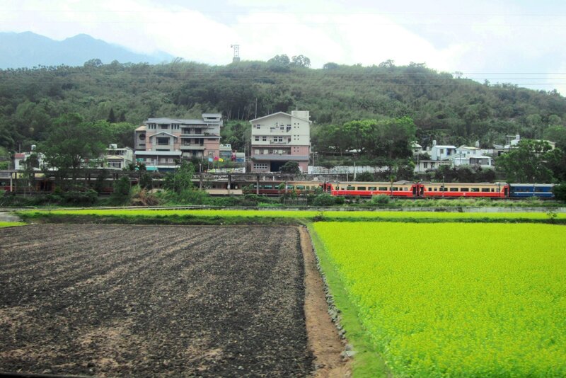 Train in Rural Landscape — Green
