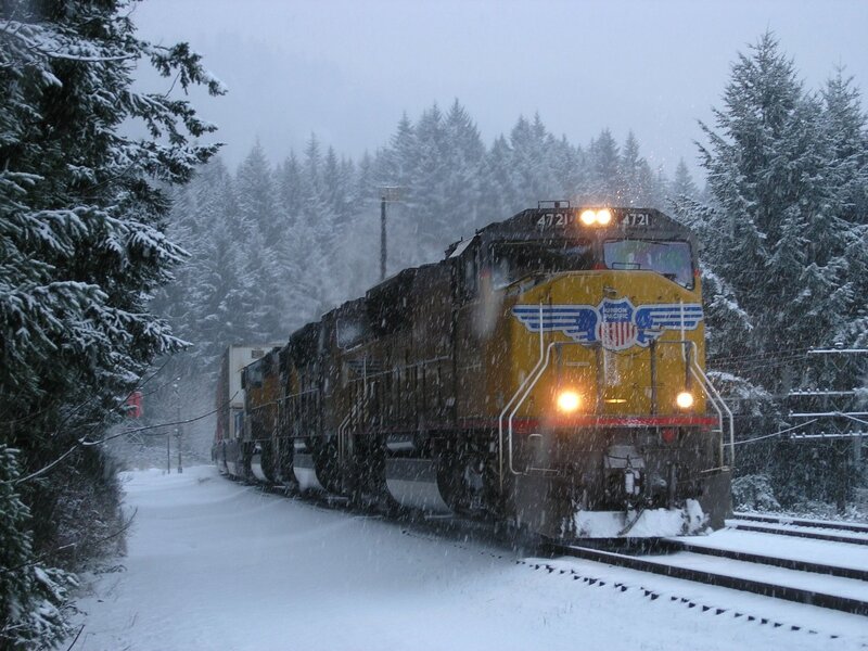 Train in snowy forest