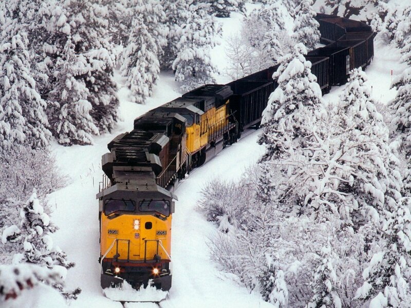 Train in snowy forest