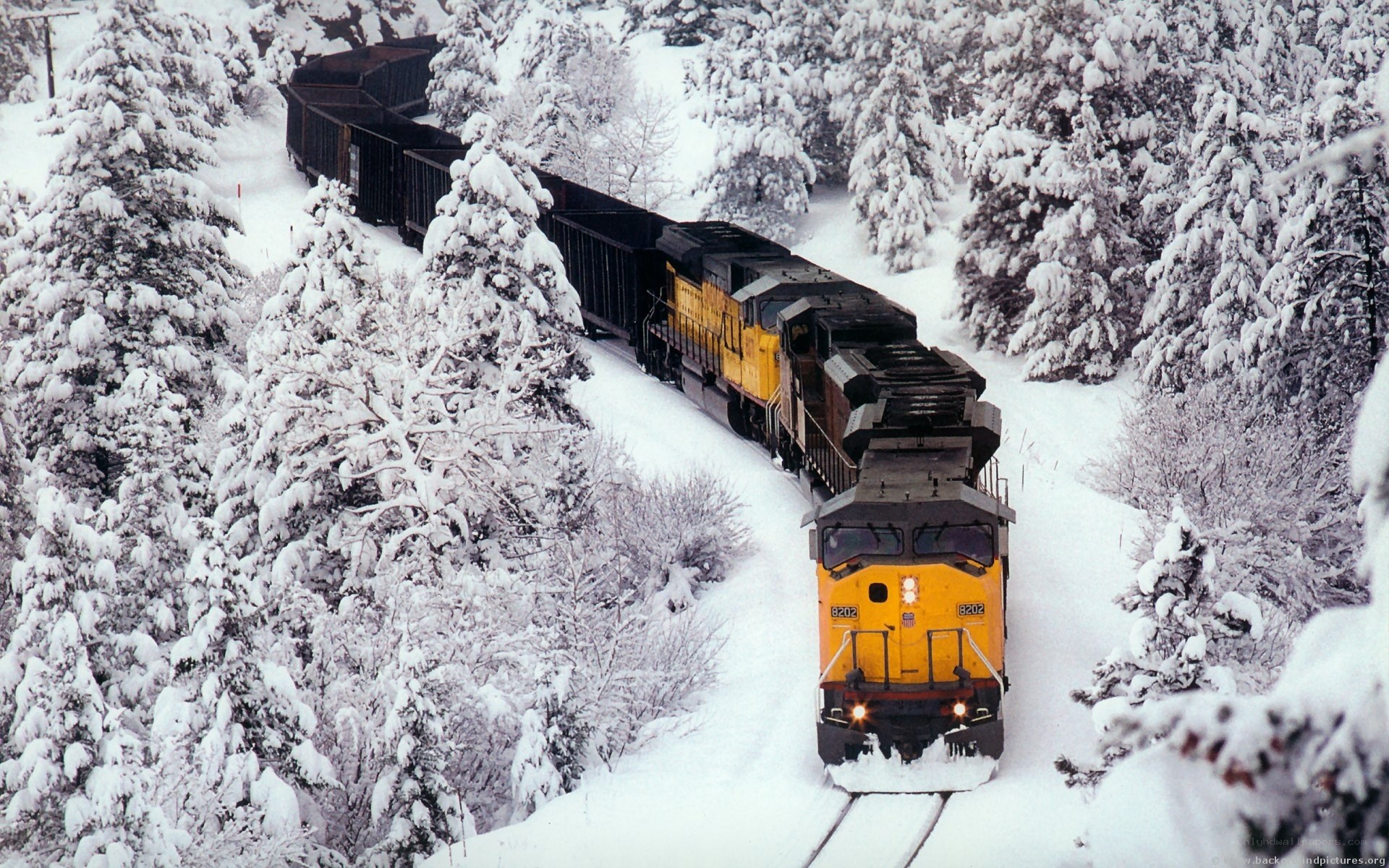 Train in snowy forest