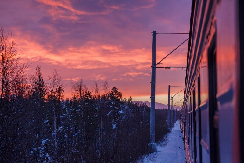 Train in Snowy Forest — Purple