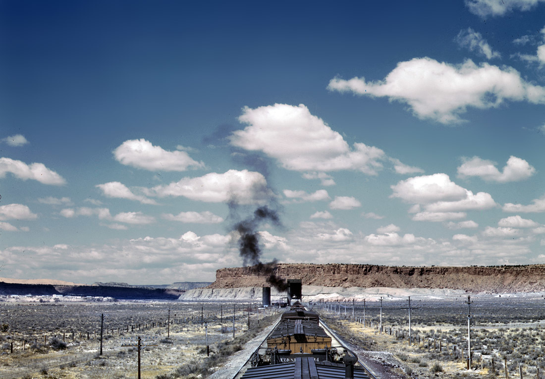 Train in the desert landscape