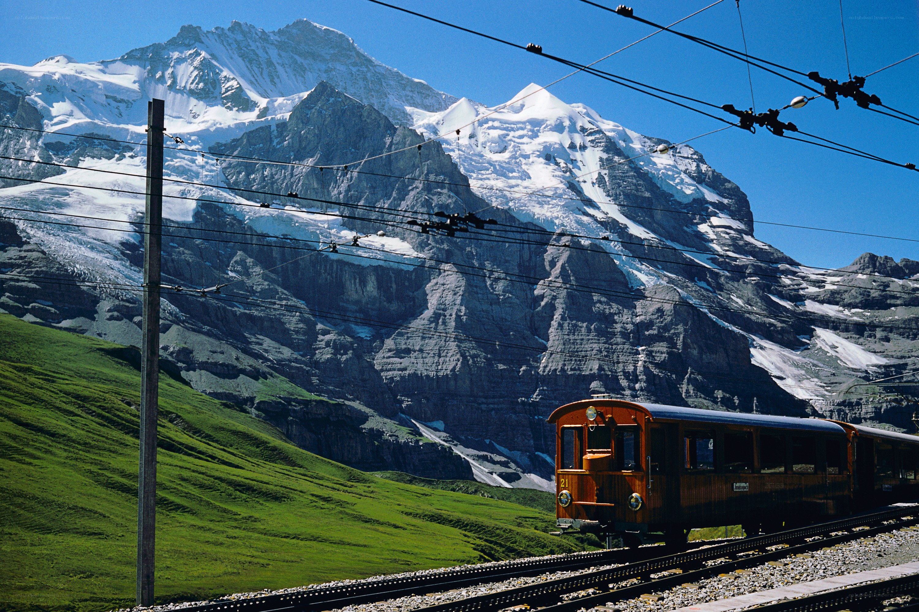 Train in the Swiss Alps