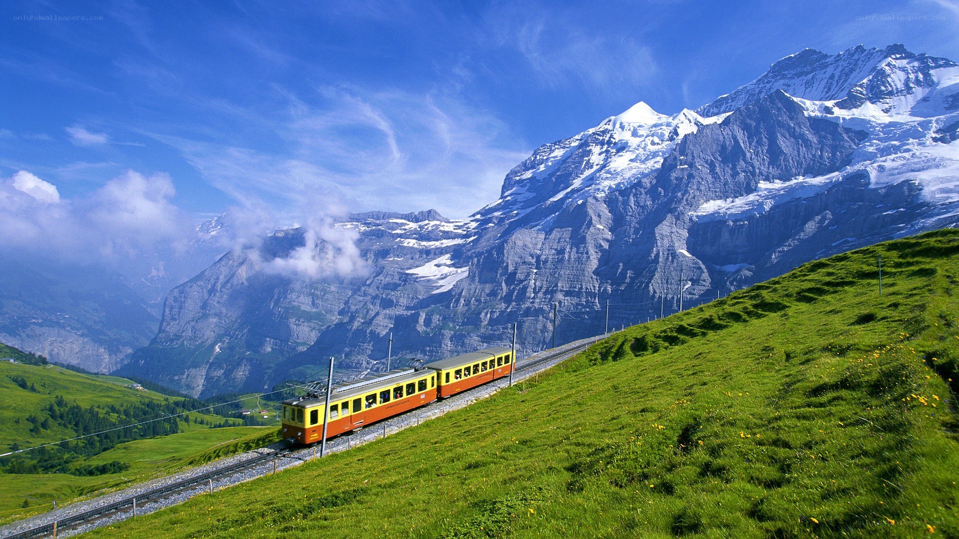 Train in the Swiss Alps