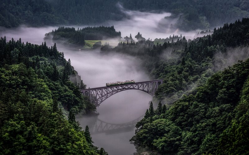 Train on a Bridge — Green, Misty, Morning, Photograph