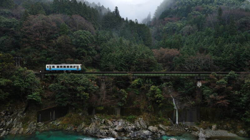Train on a Bridge — Green, Serene