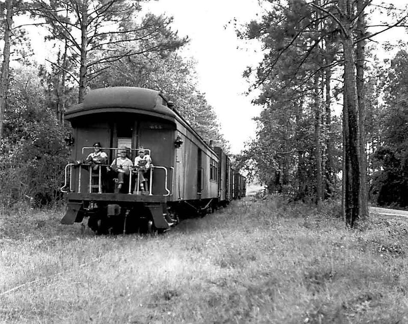 Train on a Forest Track