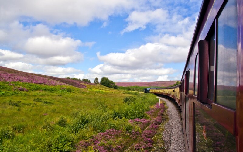 Train on a Hillside — Green, Serene