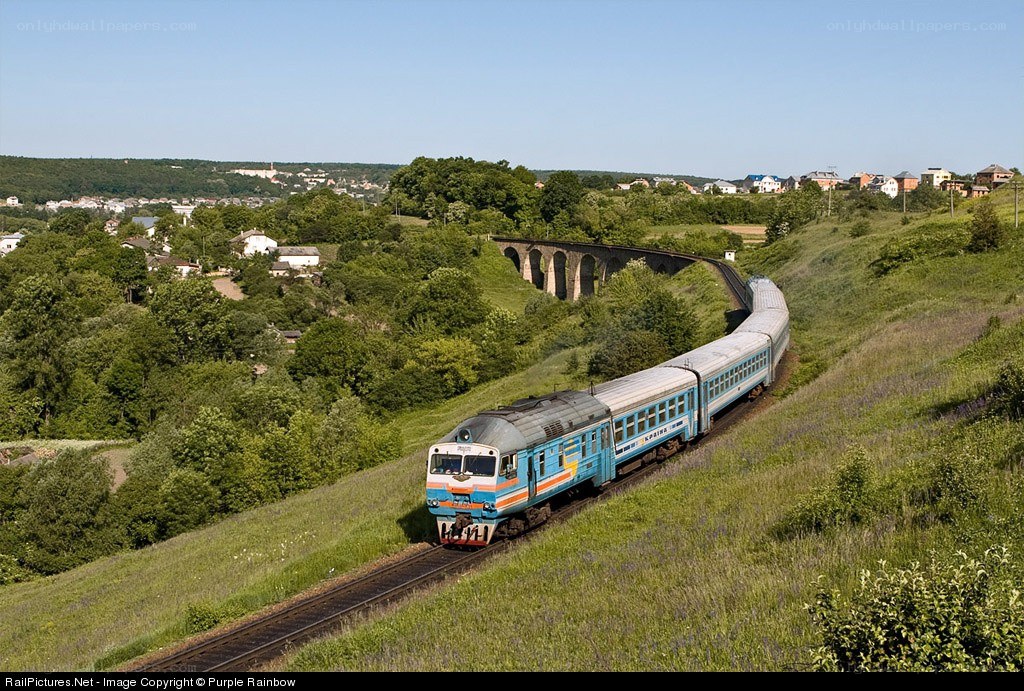 Train on a hillside near a viaduct