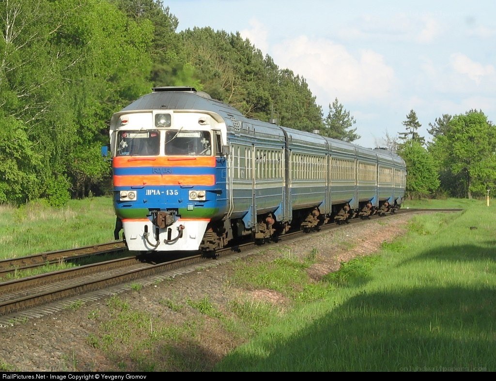 Train on a rural track