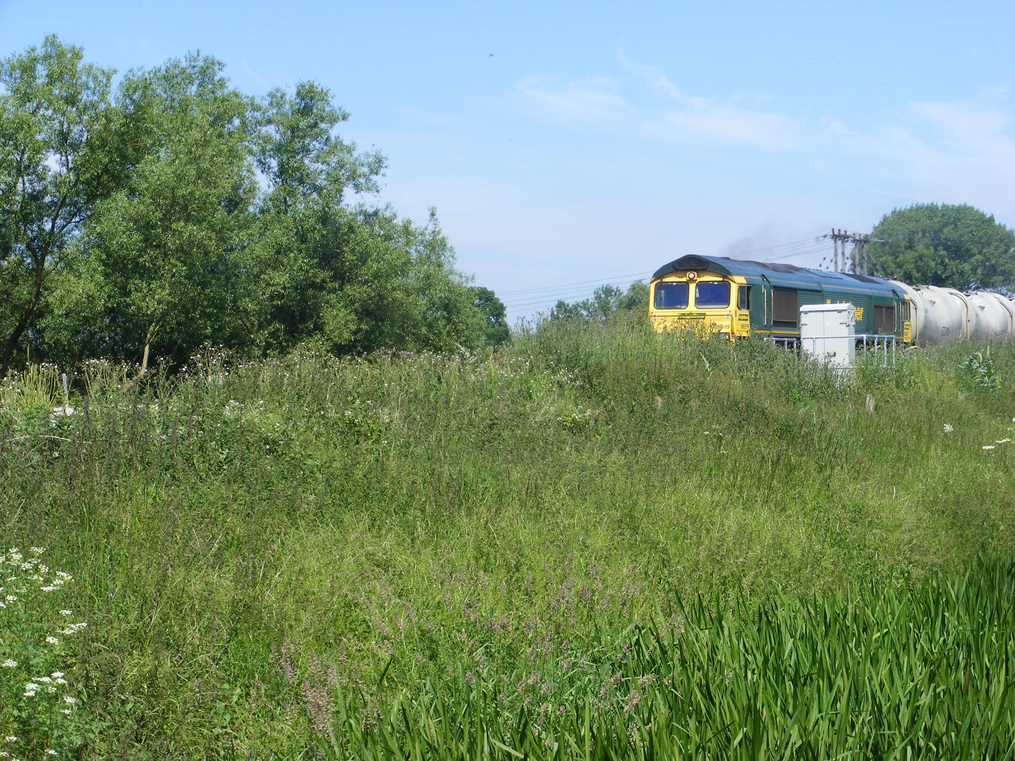 Train on a sunny day