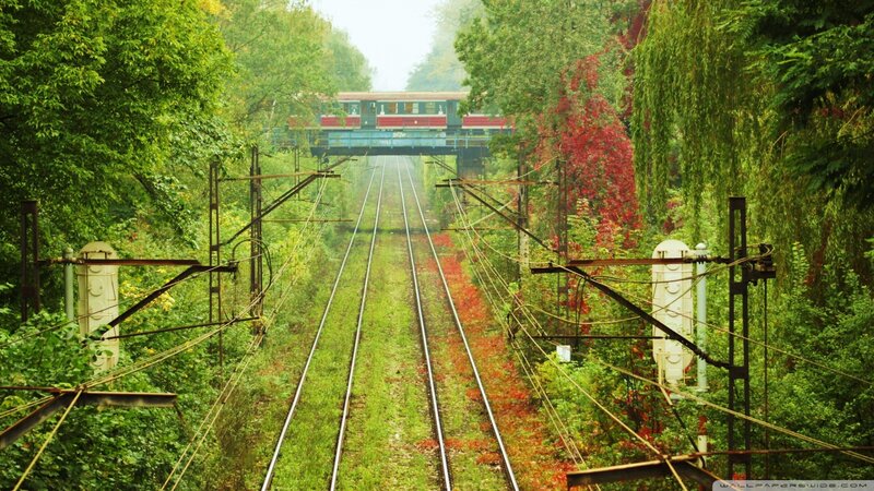 Train on Forest Tracks — Green