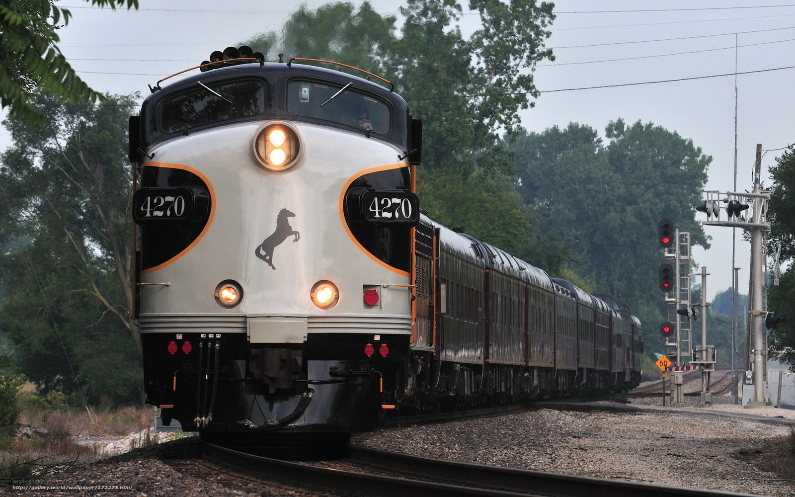 Train on the tracks
