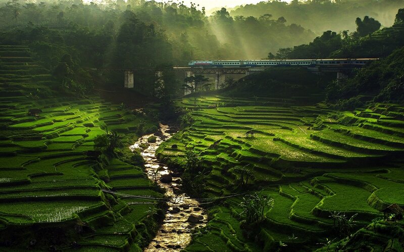 Train over Rice Terraces