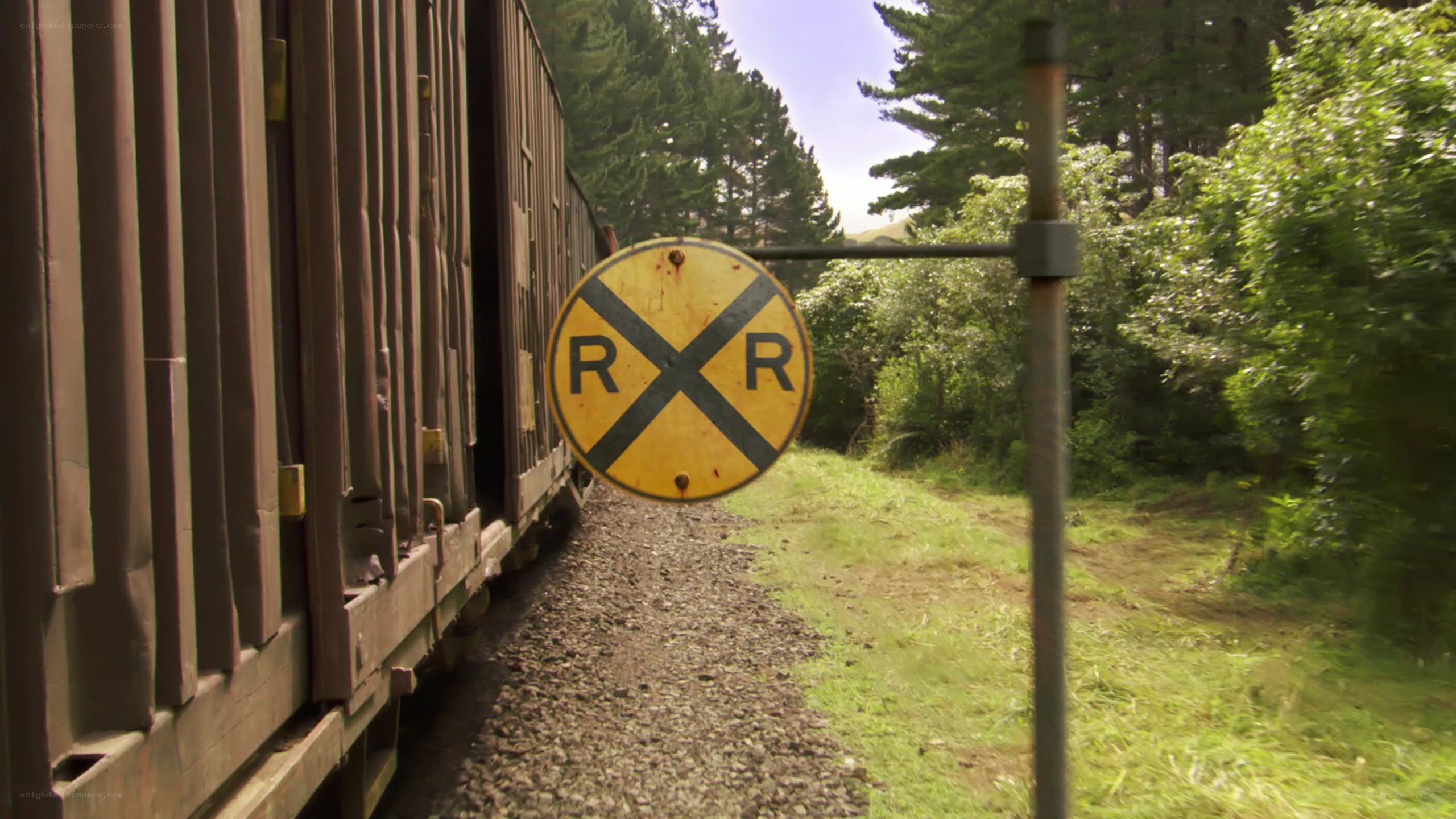 Train passing by crossing sign