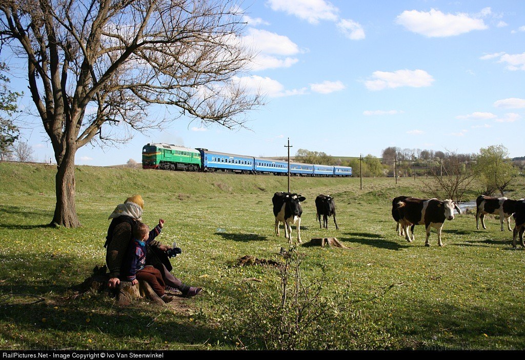 Train passing through a pastoral scene