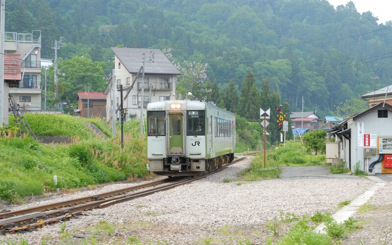 Train passing through a rural station