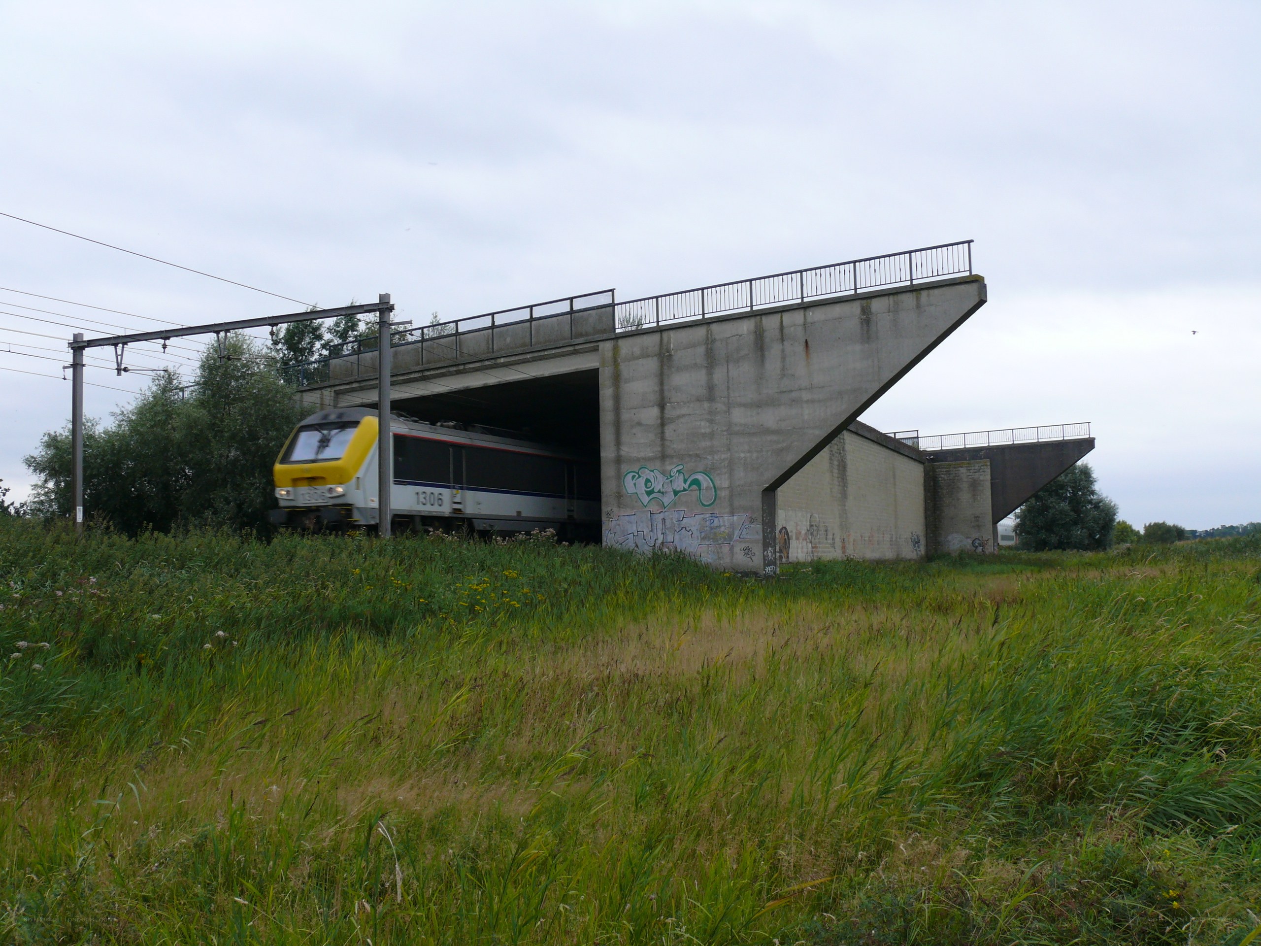 Train passing under a bridge