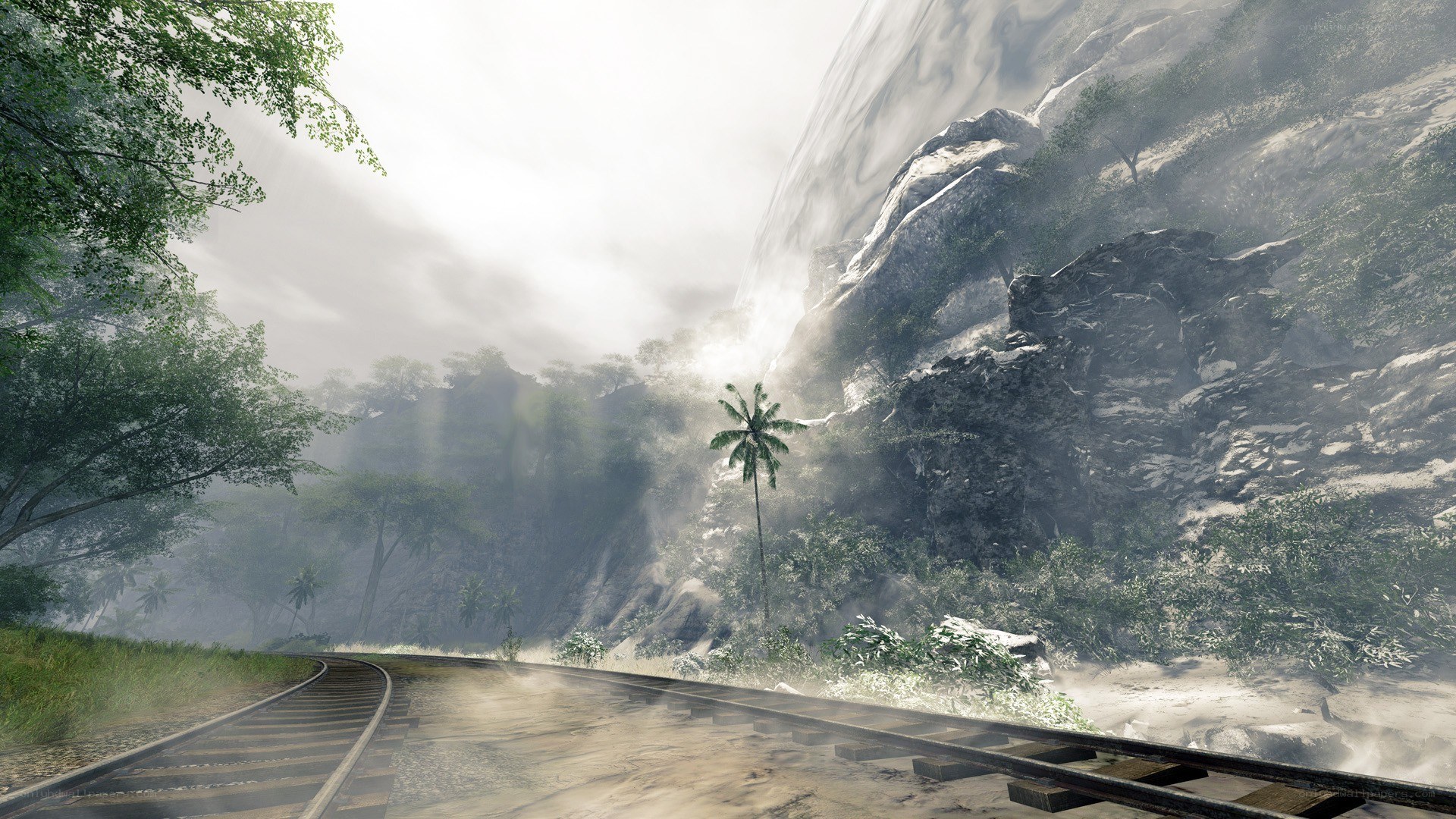 train track in misty jungle