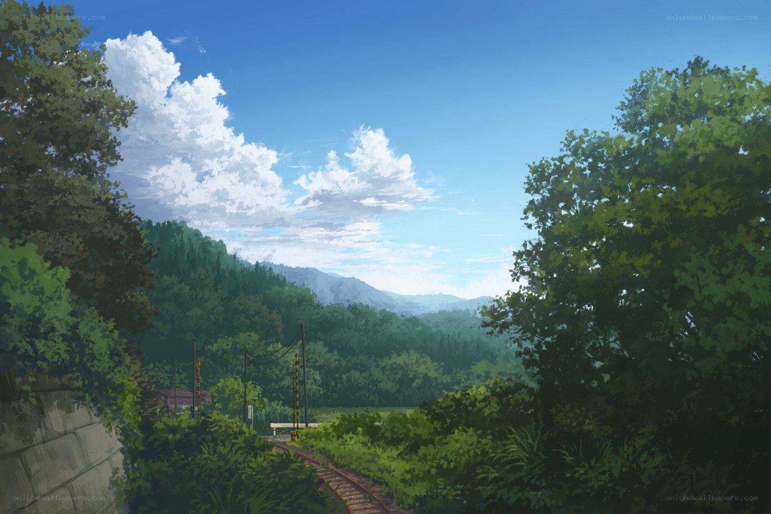 Train track through forested valley