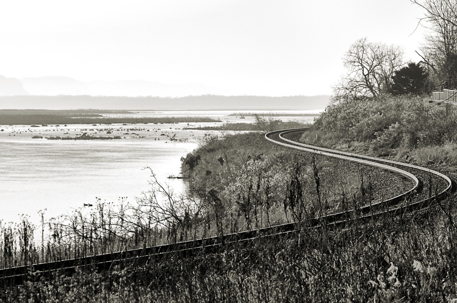 Train tracks along a river