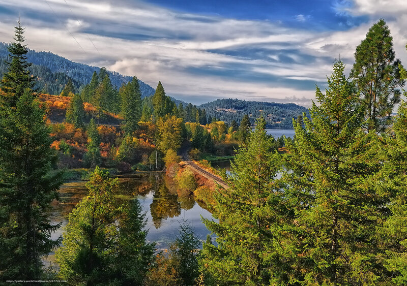 Train Tracks by Lake