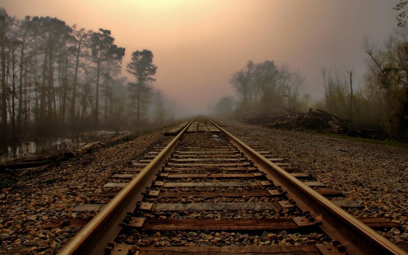 Train tracks in a foggy forest