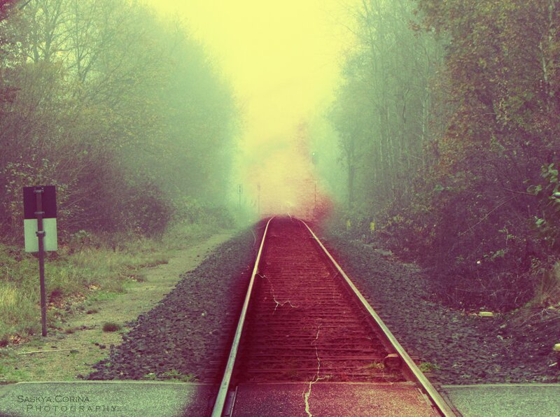 Train tracks in a foggy forest