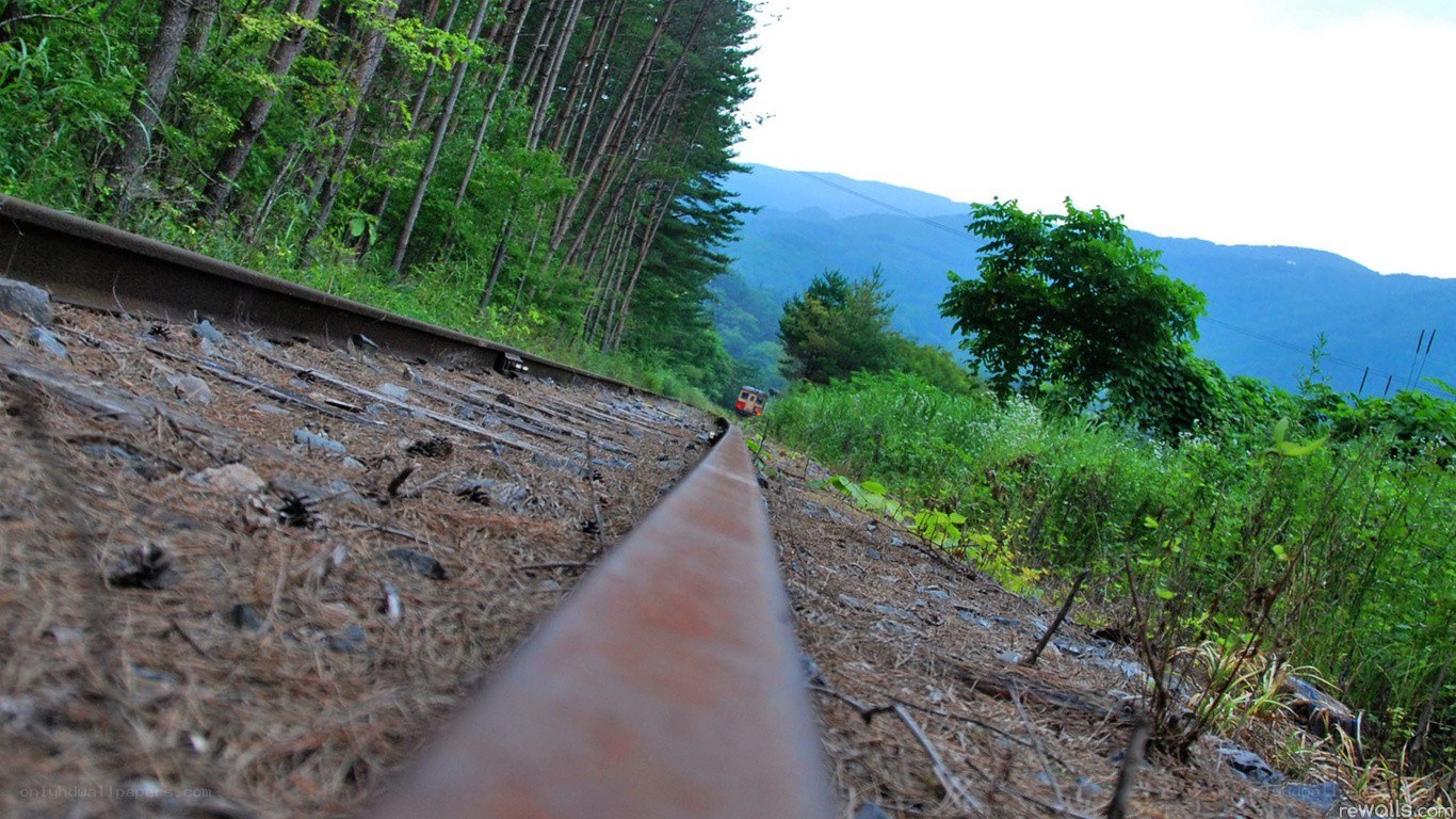 Train tracks in a forested valley
