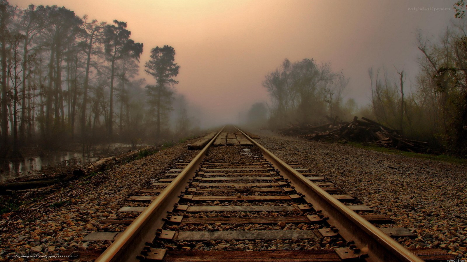 Train tracks in a misty forest