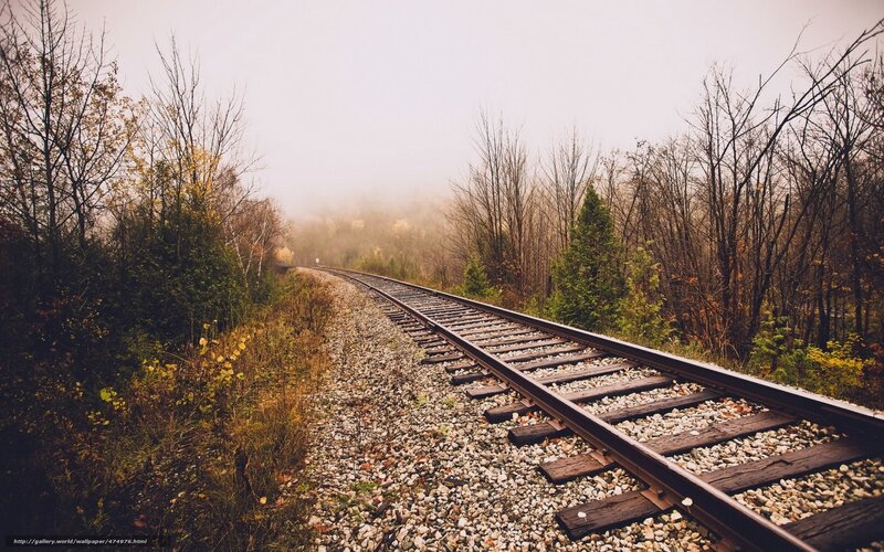 Train tracks in autumn fog